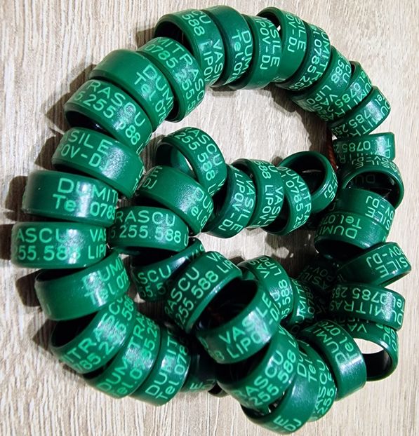  - 1-A-INELE PERSONALIZATE 2025