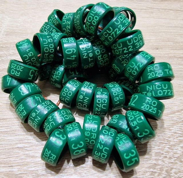  - 1-A-INELE PERSONALIZATE 2025