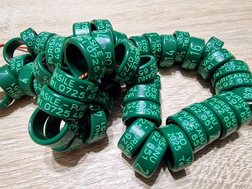  - 1-A-INELE PERSONALIZATE 2025