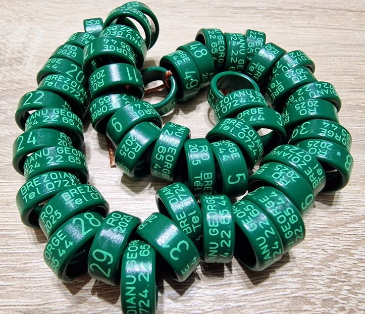  - 1-A-INELE PERSONALIZATE 2025