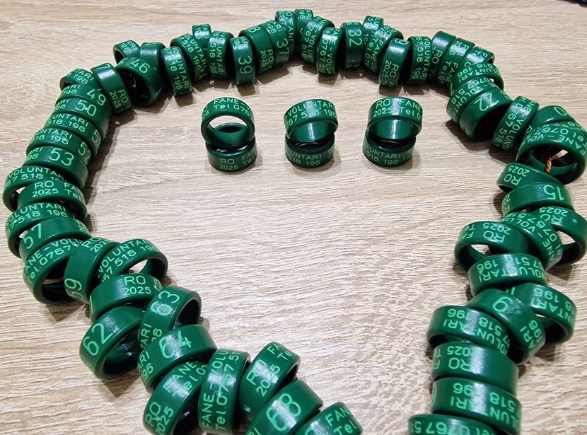  - 1-A-INELE PERSONALIZATE 2025