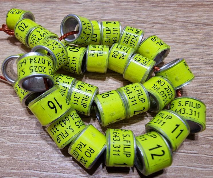  - 1-A-INELE PERSONALIZATE 2025