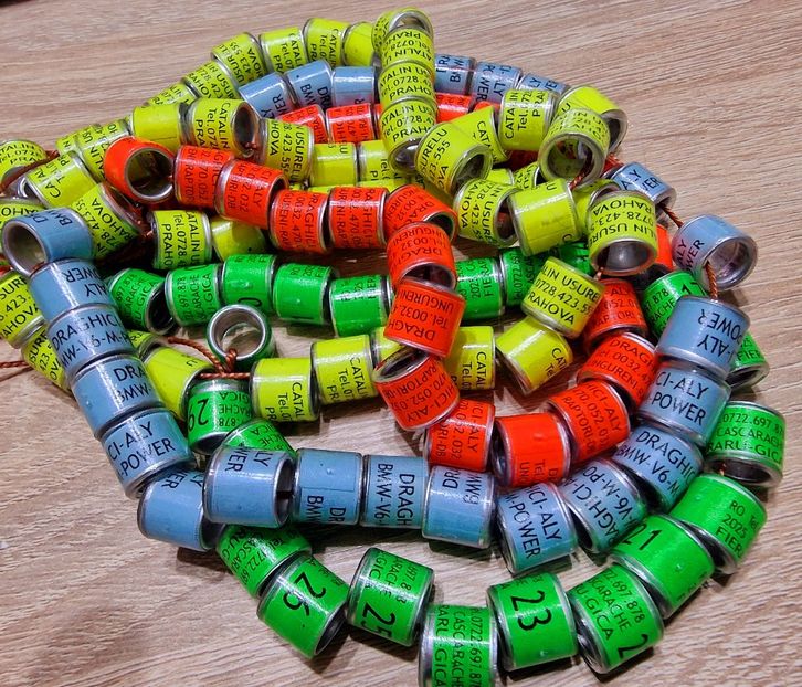  - 1-A-INELE PERSONALIZATE 2025