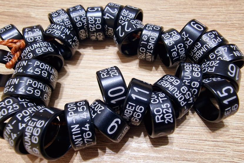  - 1-A-INELE PERSONALIZATE 2025