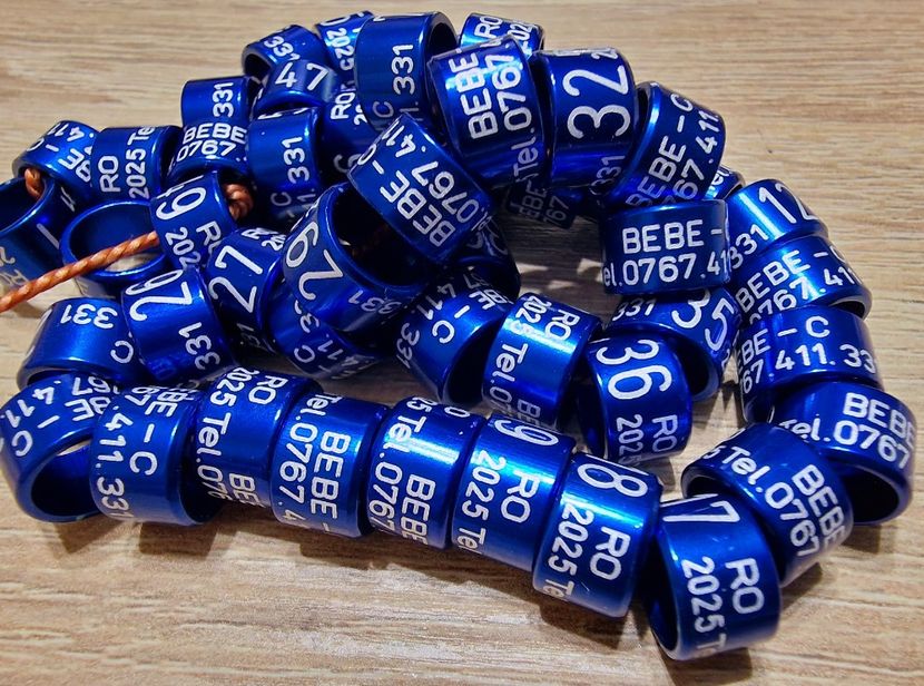  - 1-A-INELE PERSONALIZATE 2025