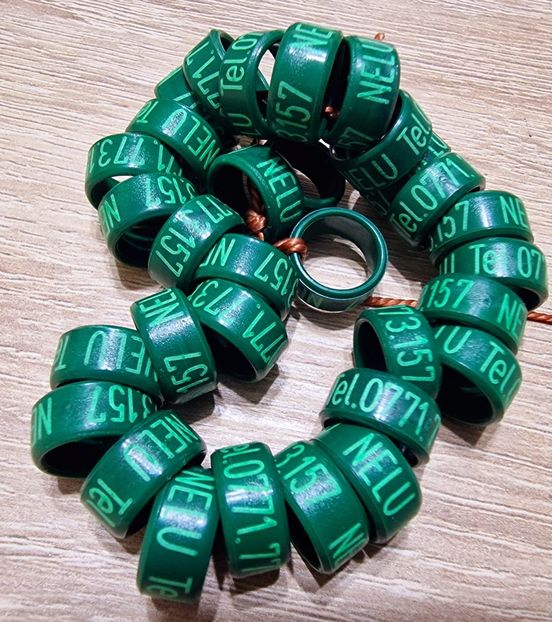  - 1-A-INELE PERSONALIZATE 2025