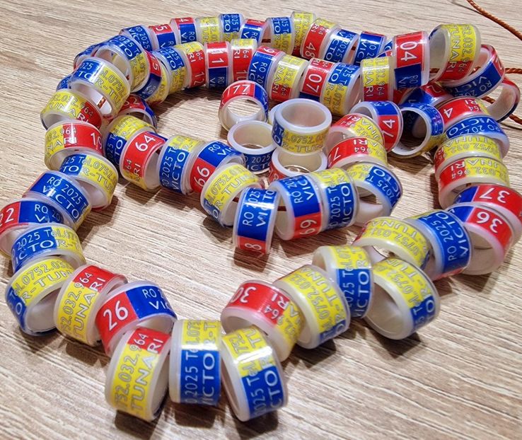  - 1-A-INELE PERSONALIZATE 2025