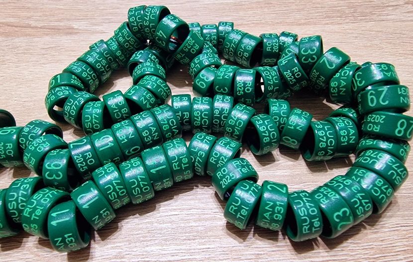  - 1-A-INELE PERSONALIZATE 2025