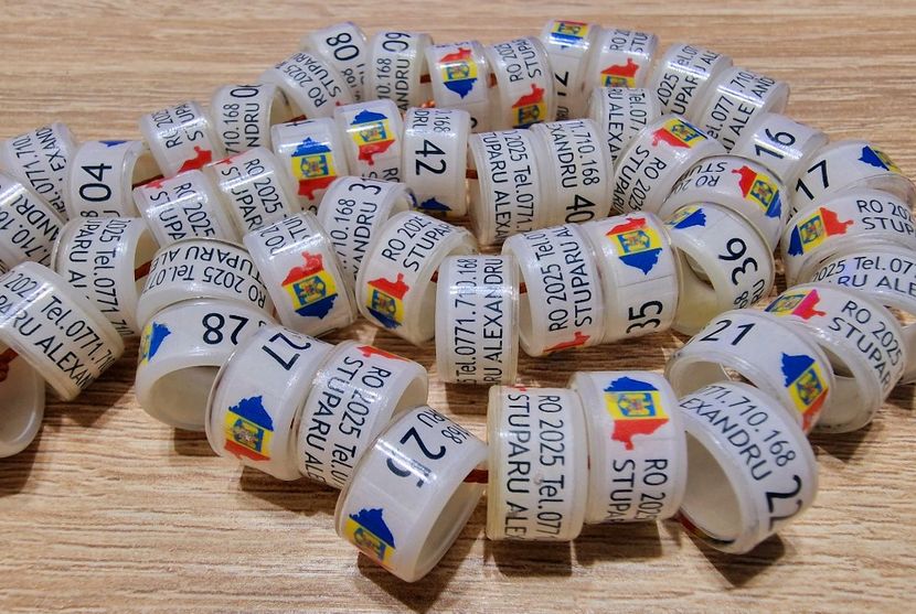  - 1-A-INELE PERSONALIZATE 2025