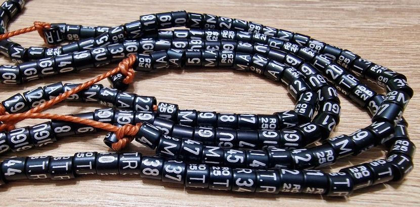  - 1-A-INELE PERSONALIZATE 2025