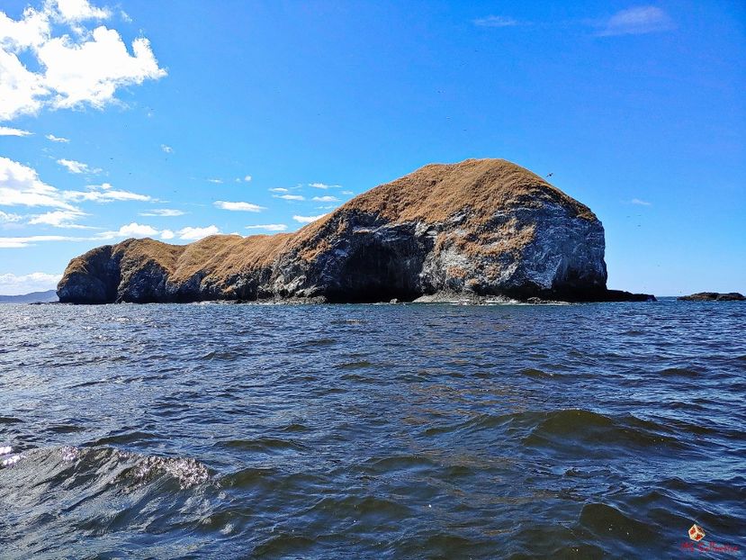 Isla SANTA CATALINA - COSTA RICA - --- COSTA RICA