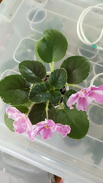 Snapchat-846204657 - Vat Britni