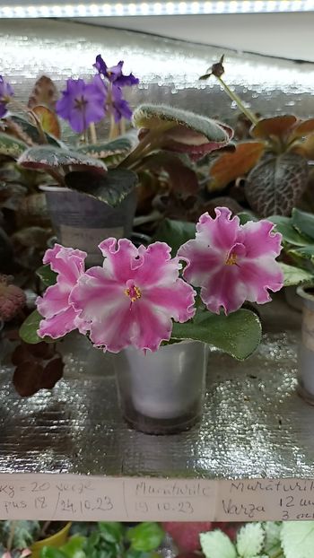 Snapchat-1540061651 - Vat Britni