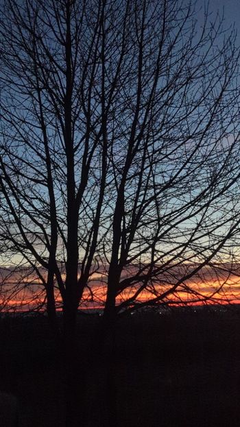  - Universul Natura si lumea sufletului meu