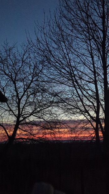  - Universul Natura si lumea sufletului meu
