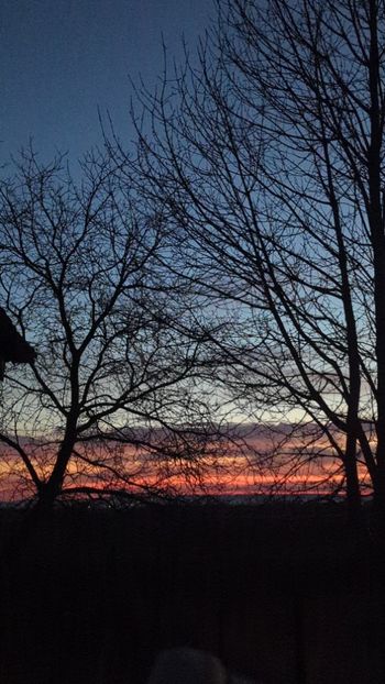  - Universul Natura si lumea sufletului meu