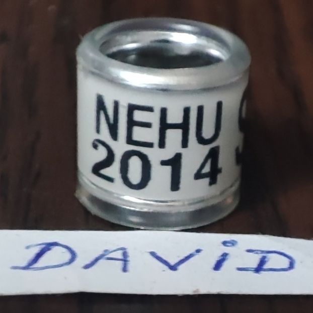 2014-Anglia - Anglia-NEHU