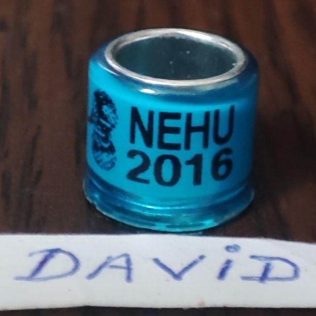 2016-Anglia - Anglia-NEHU