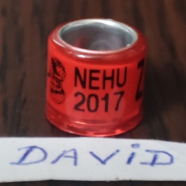 2017-Anglia - Anglia-NEHU