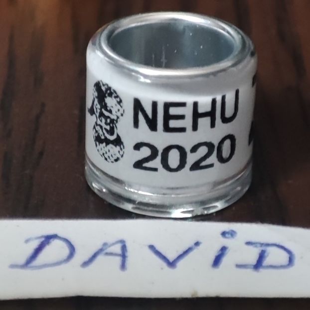 2020-Anglia - Anglia-NEHU