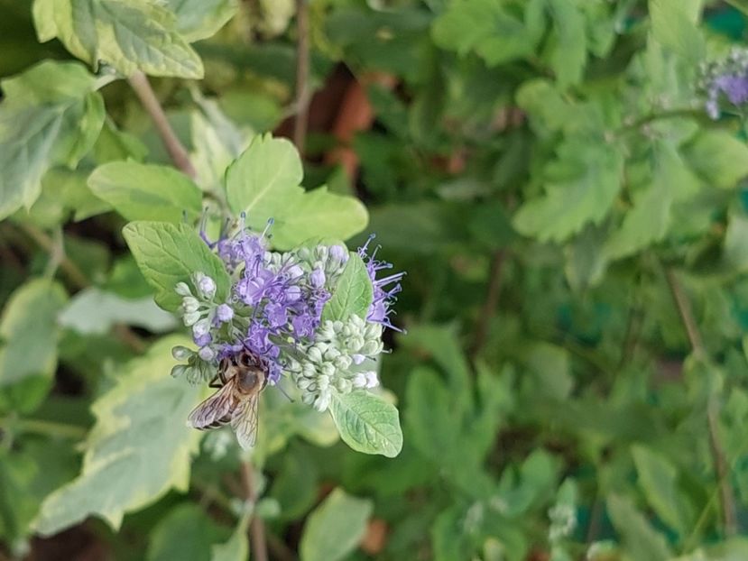  - 2024 sept oct nov dec