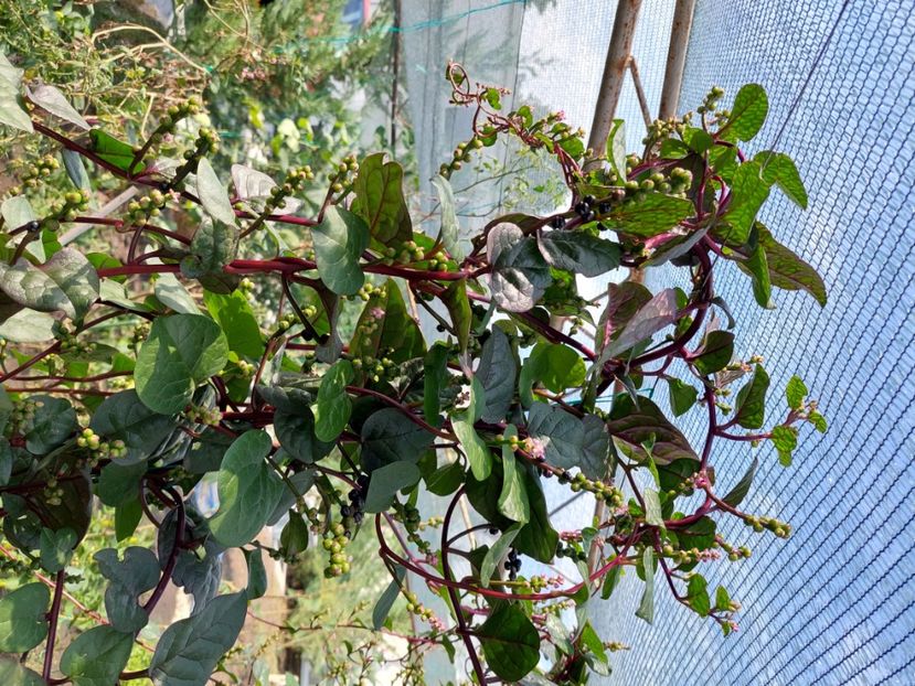  - 2024 sept oct nov dec