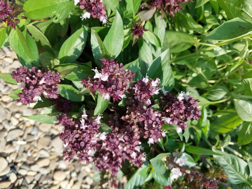  - 2024 sept oct nov dec