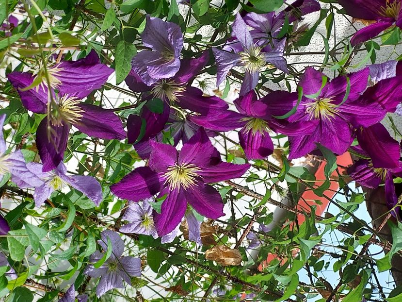  - 2024 sept oct nov dec