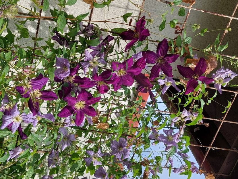  - 2024 sept oct nov dec