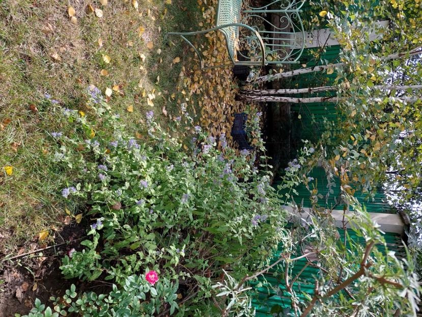  - 2024 sept oct nov dec