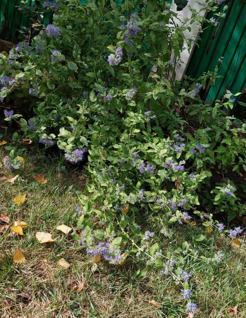  - 2024 sept oct nov dec