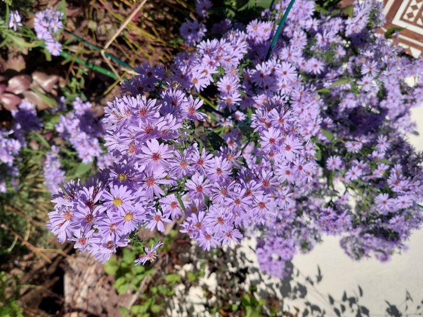  - 2024 sept oct nov dec