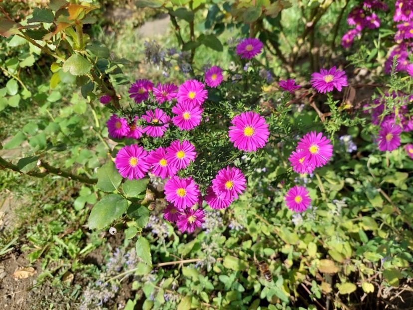  - 2024 sept oct nov dec