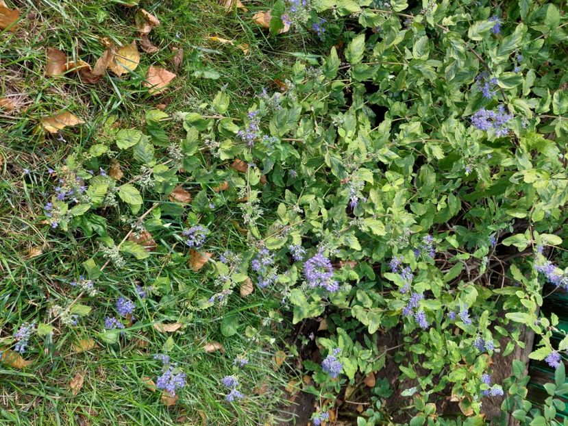  - 2024 sept oct nov dec