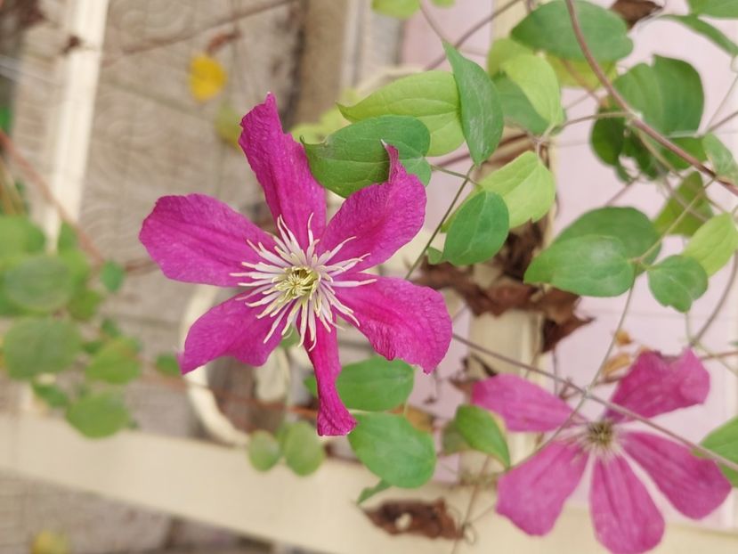  - 2024 sept oct nov dec