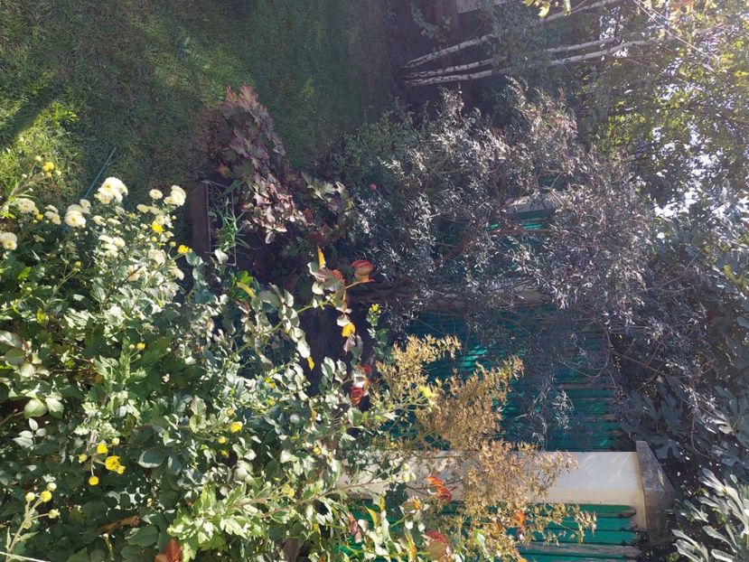  - 2024 sept oct nov dec