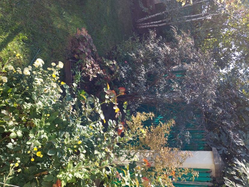  - 2024 sept oct nov dec