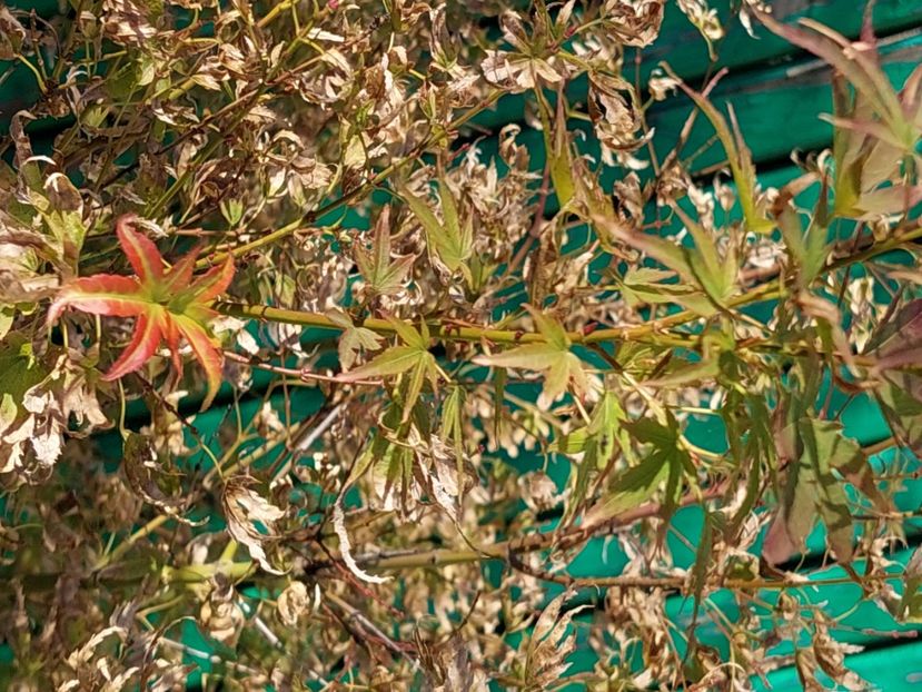  - 2024 sept oct nov dec