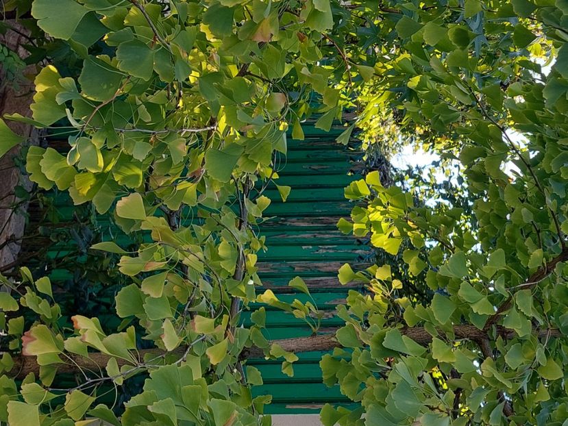  - 2024 sept oct nov dec