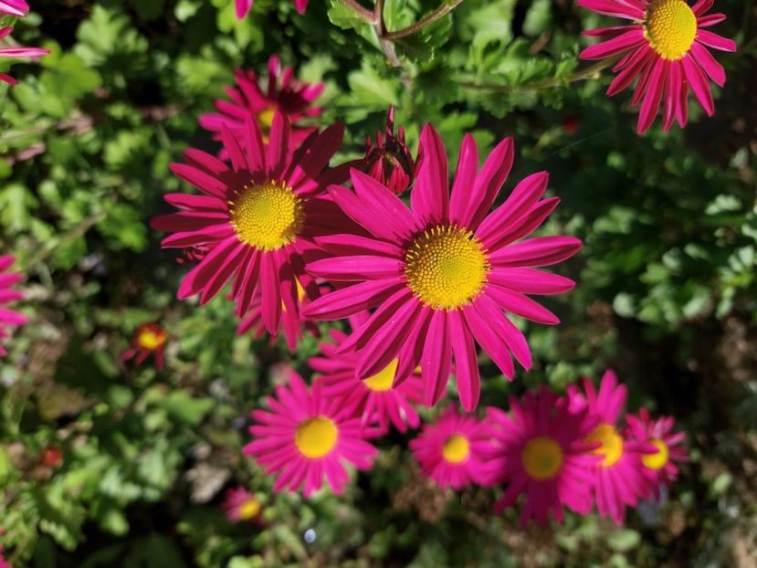  - 2024 sept oct nov dec