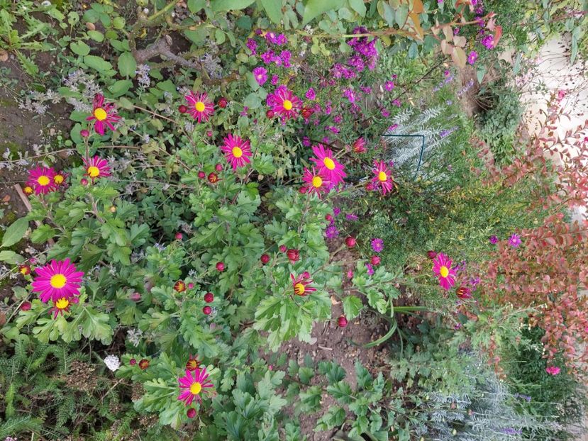  - 2024 sept oct nov dec