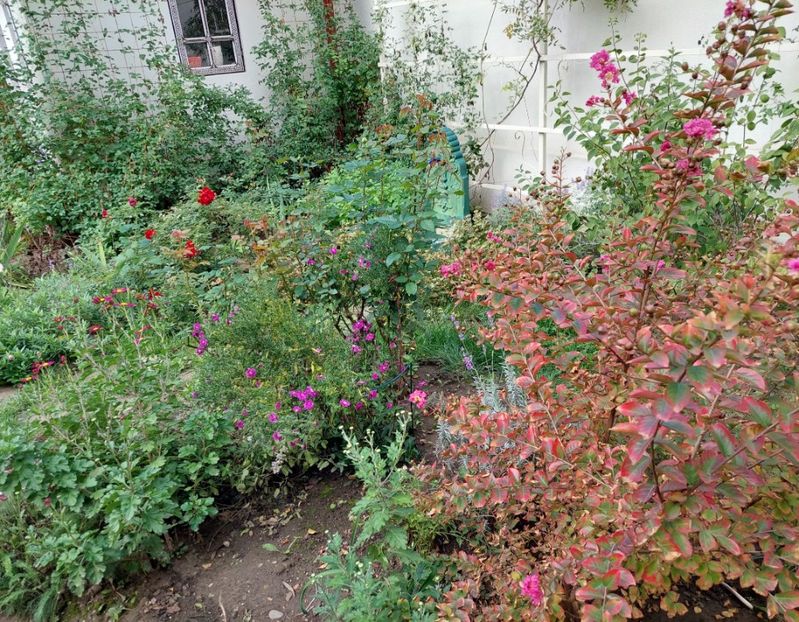  - 2024 sept oct nov dec