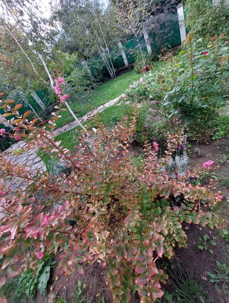  - 2024 sept oct nov dec