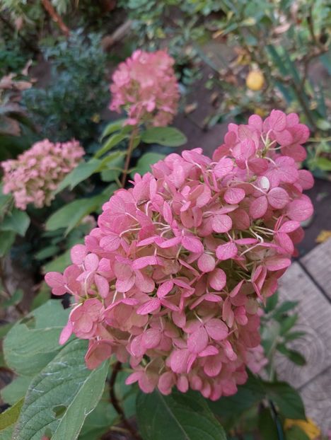  - 2024 sept oct nov dec