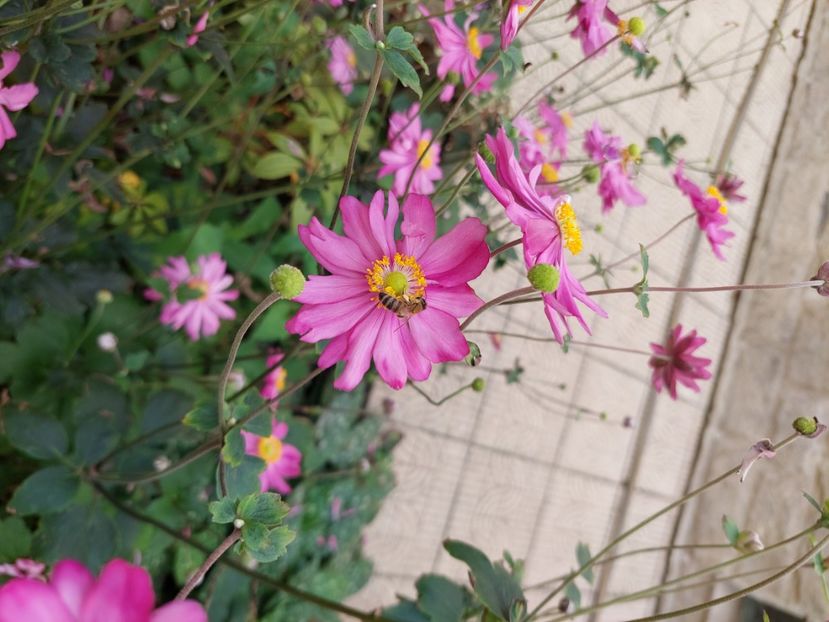  - 2024 sept oct nov dec