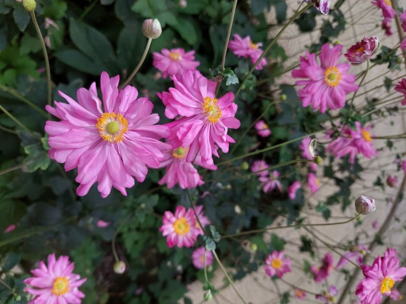  - 2024 sept oct nov dec