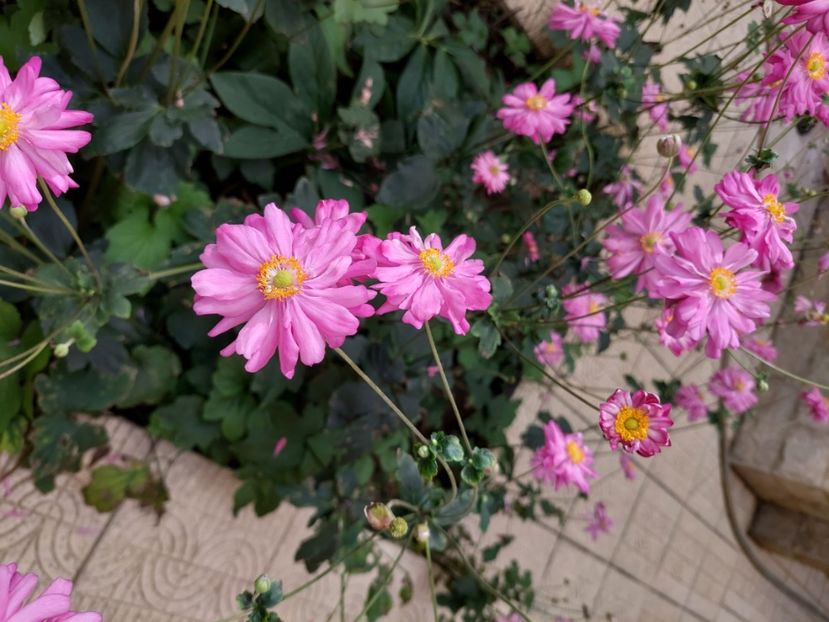  - 2024 sept oct nov dec