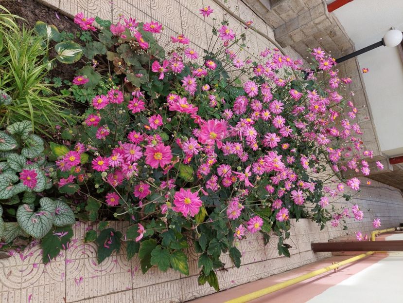  - 2024 sept oct nov dec