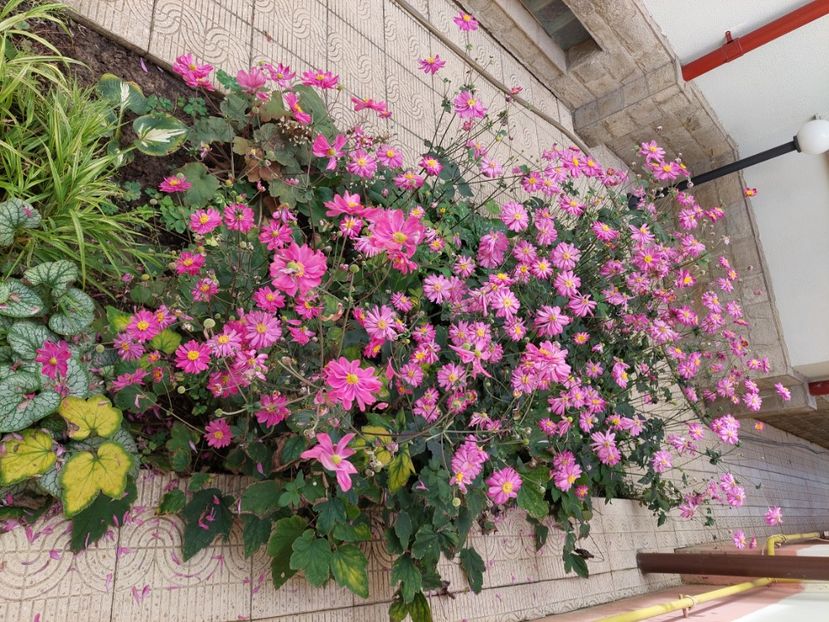  - 2024 sept oct nov dec