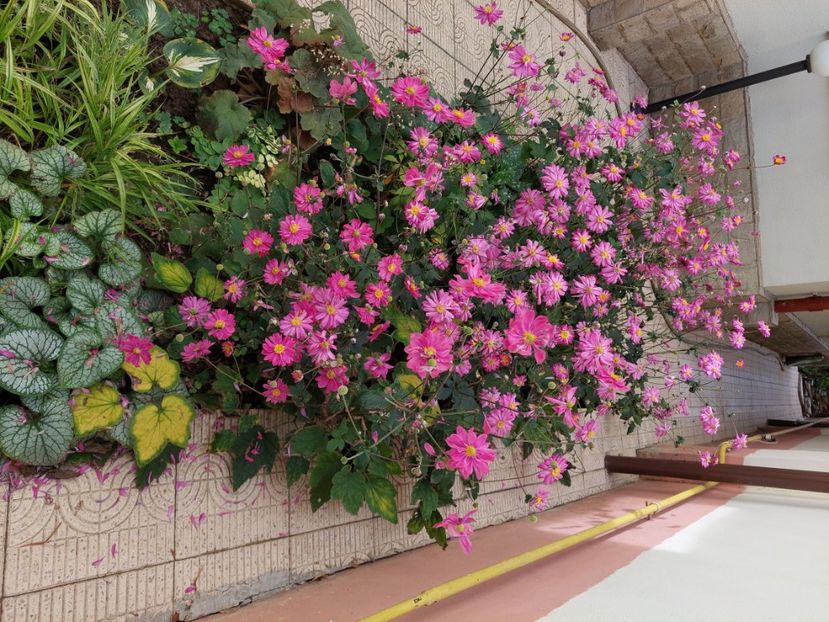  - 2024 sept oct nov dec